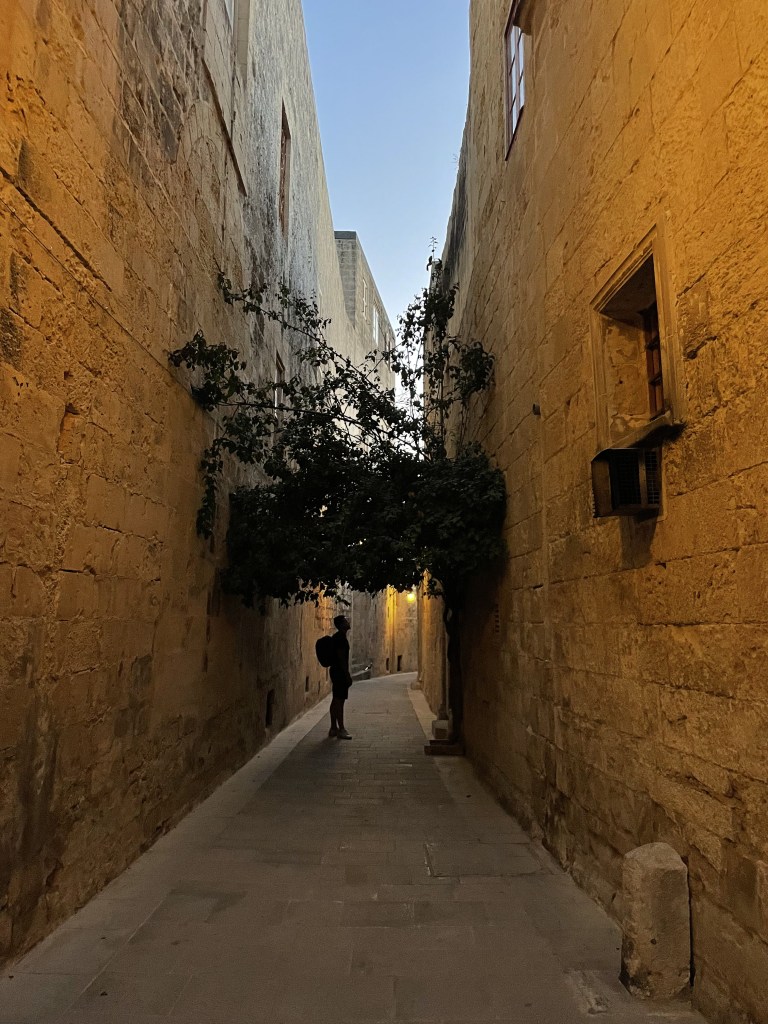 Photography by Sebastian Lema